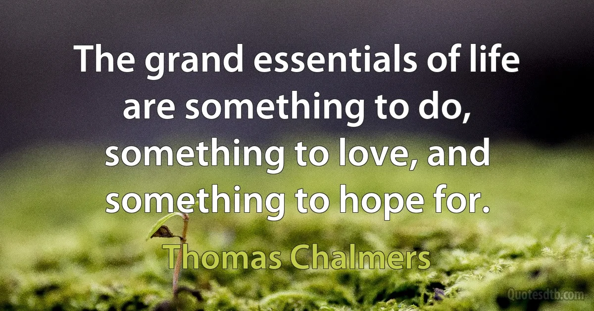 The grand essentials of life are something to do, something to love, and something to hope for. (Thomas Chalmers)