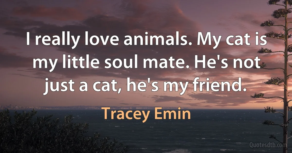 I really love animals. My cat is my little soul mate. He's not just a cat, he's my friend. (Tracey Emin)