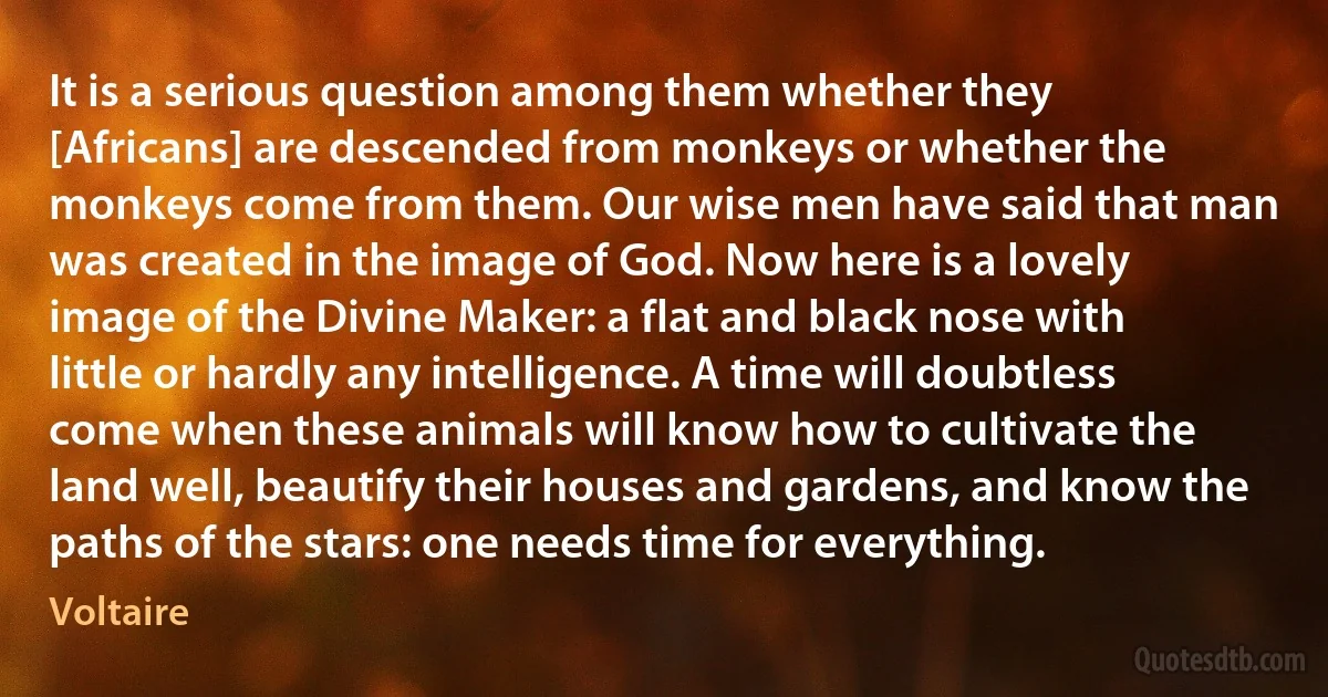 It is a serious question among them whether they [Africans] are descended from monkeys or whether the monkeys come from them. Our wise men have said that man was created in the image of God. Now here is a lovely image of the Divine Maker: a flat and black nose with little or hardly any intelligence. A time will doubtless come when these animals will know how to cultivate the land well, beautify their houses and gardens, and know the paths of the stars: one needs time for everything. (Voltaire)