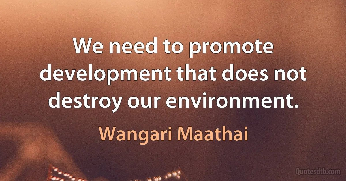 We need to promote development that does not destroy our environment. (Wangari Maathai)