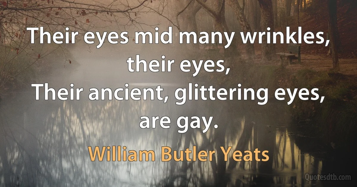 Their eyes mid many wrinkles, their eyes,
Their ancient, glittering eyes, are gay. (William Butler Yeats)