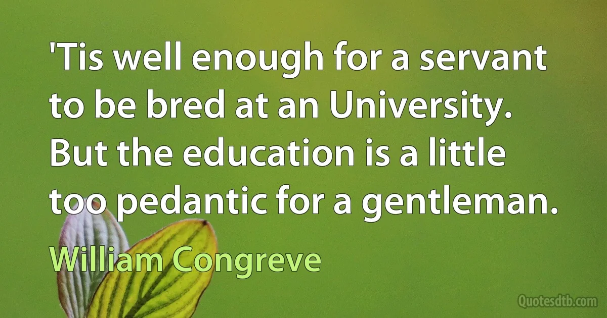 'Tis well enough for a servant to be bred at an University. But the education is a little too pedantic for a gentleman. (William Congreve)