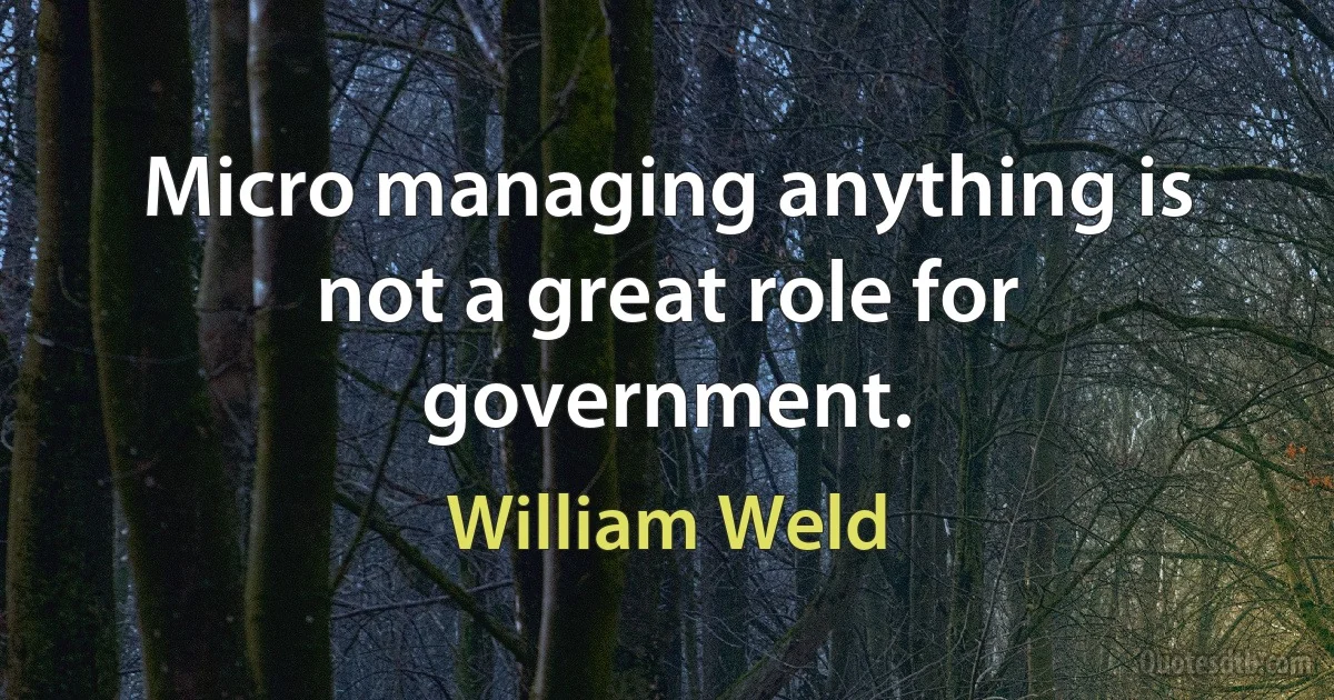 Micro managing anything is not a great role for government. (William Weld)