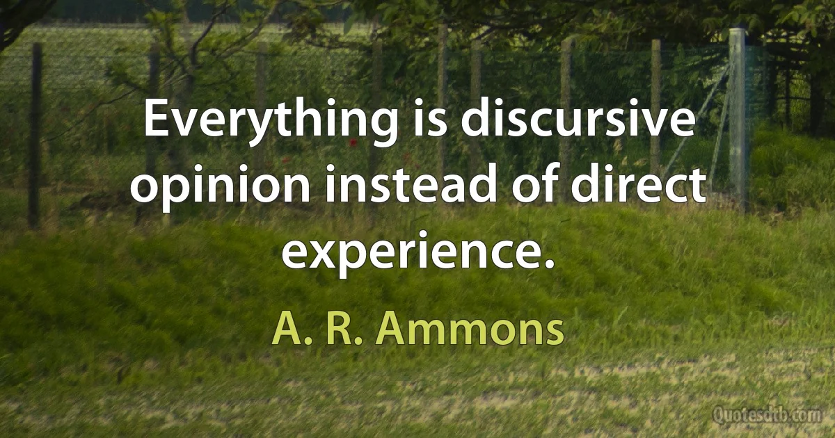 Everything is discursive opinion instead of direct experience. (A. R. Ammons)