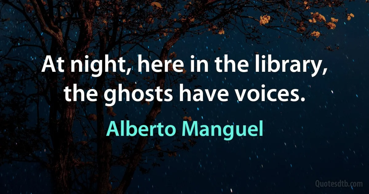 At night, here in the library, the ghosts have voices. (Alberto Manguel)