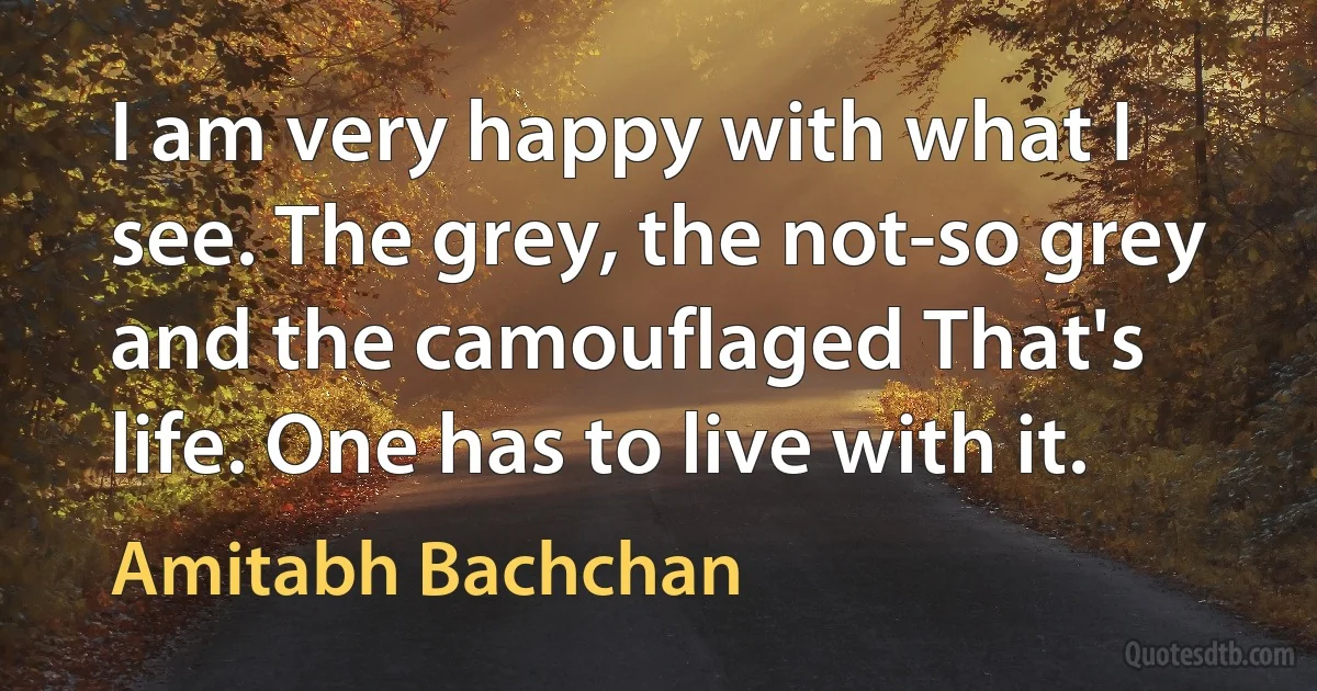 I am very happy with what I see. The grey, the not-so grey and the camouflaged That's life. One has to live with it. (Amitabh Bachchan)