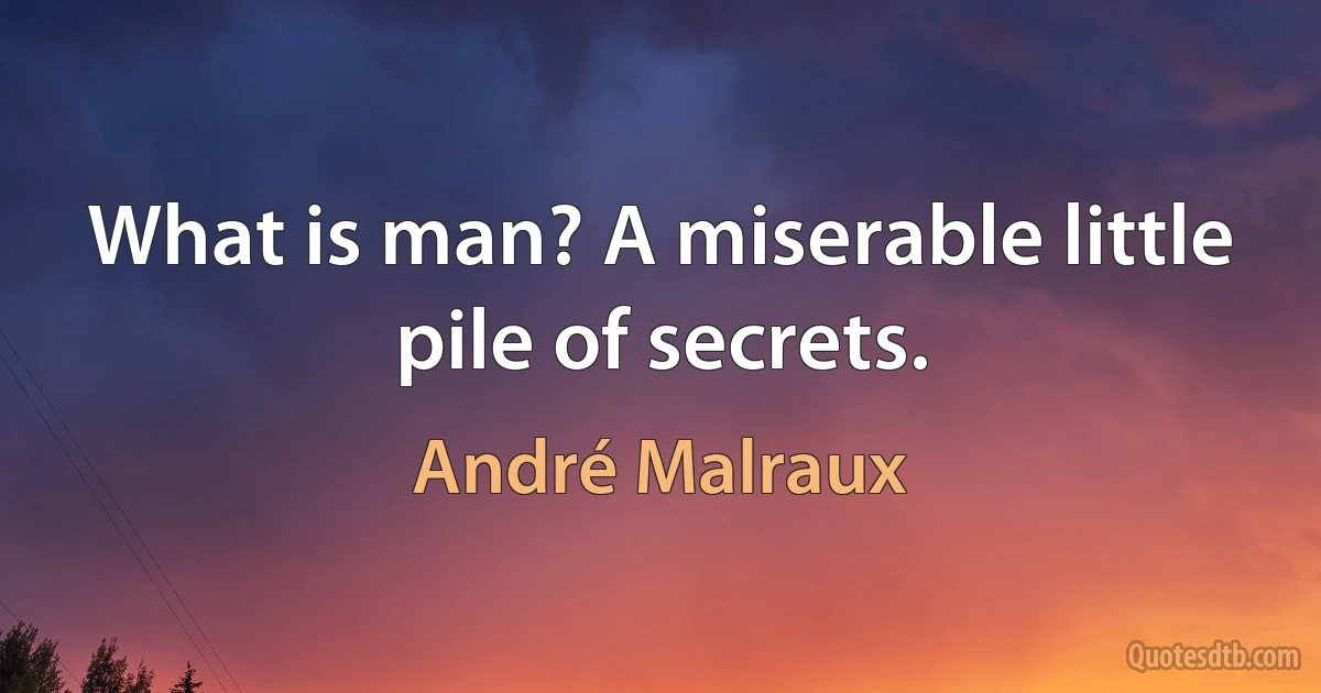 What is man? A miserable little pile of secrets. (André Malraux)