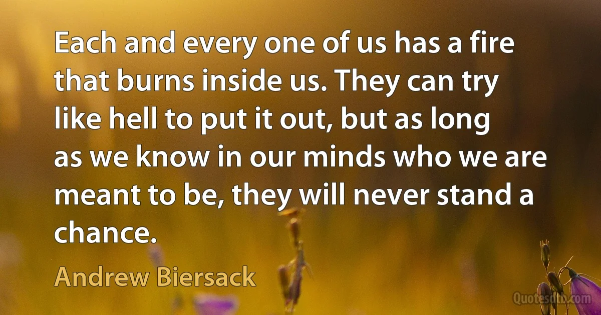 Each and every one of us has a fire that burns inside us. They can try like hell to put it out, but as long as we know in our minds who we are meant to be, they will never stand a chance. (Andrew Biersack)