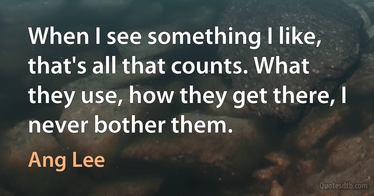 When I see something I like, that's all that counts. What they use, how they get there, I never bother them. (Ang Lee)