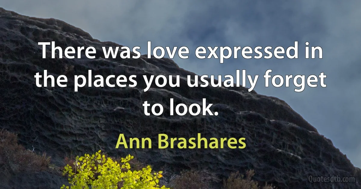 There was love expressed in the places you usually forget to look. (Ann Brashares)