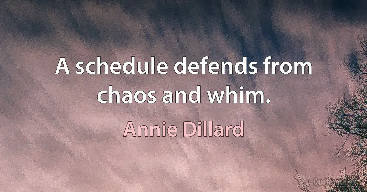 A schedule defends from chaos and whim. (Annie Dillard)