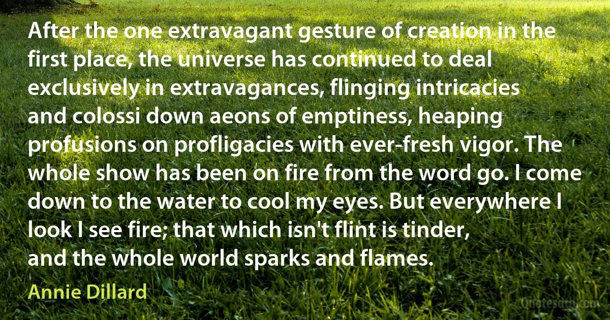 After the one extravagant gesture of creation in the first place, the universe has continued to deal exclusively in extravagances, flinging intricacies and colossi down aeons of emptiness, heaping profusions on profligacies with ever-fresh vigor. The whole show has been on fire from the word go. I come down to the water to cool my eyes. But everywhere I look I see fire; that which isn't flint is tinder, and the whole world sparks and flames. (Annie Dillard)