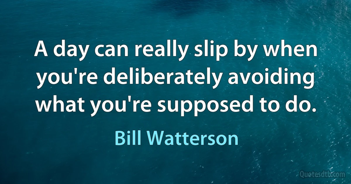 A day can really slip by when you're deliberately avoiding what you're supposed to do. (Bill Watterson)