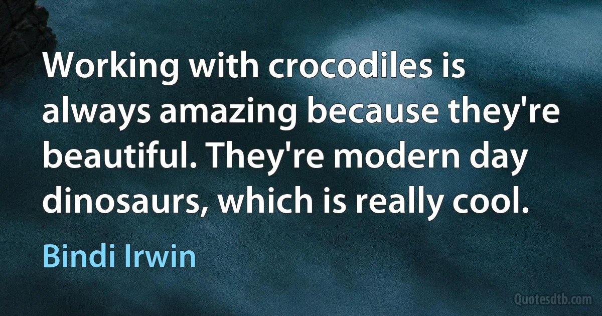 Working with crocodiles is always amazing because they're beautiful. They're modern day dinosaurs, which is really cool. (Bindi Irwin)