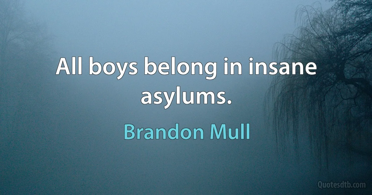 All boys belong in insane asylums. (Brandon Mull)