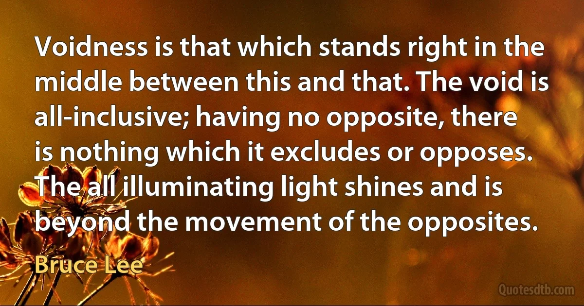 Voidness is that which stands right in the middle between this and that. The void is all-inclusive; having no opposite, there is nothing which it excludes or opposes. The all illuminating light shines and is beyond the movement of the opposites. (Bruce Lee)