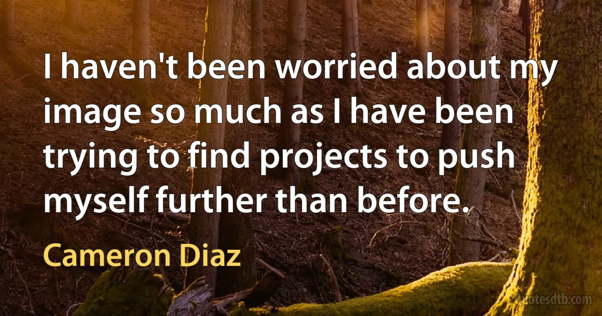 I haven't been worried about my image so much as I have been trying to find projects to push myself further than before. (Cameron Diaz)