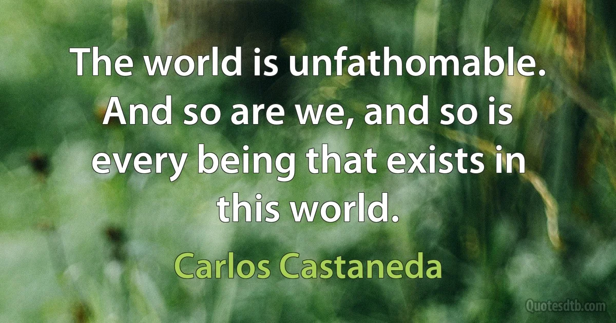 The world is unfathomable. And so are we, and so is every being that exists in this world. (Carlos Castaneda)