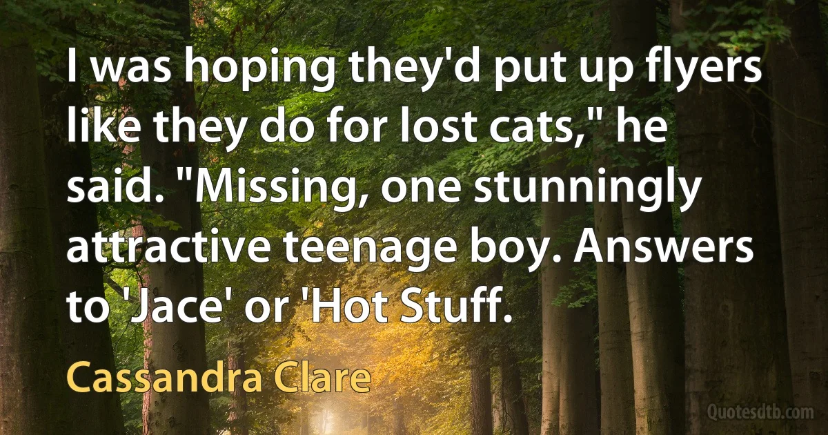 I was hoping they'd put up flyers like they do for lost cats," he said. "Missing, one stunningly attractive teenage boy. Answers to 'Jace' or 'Hot Stuff. (Cassandra Clare)