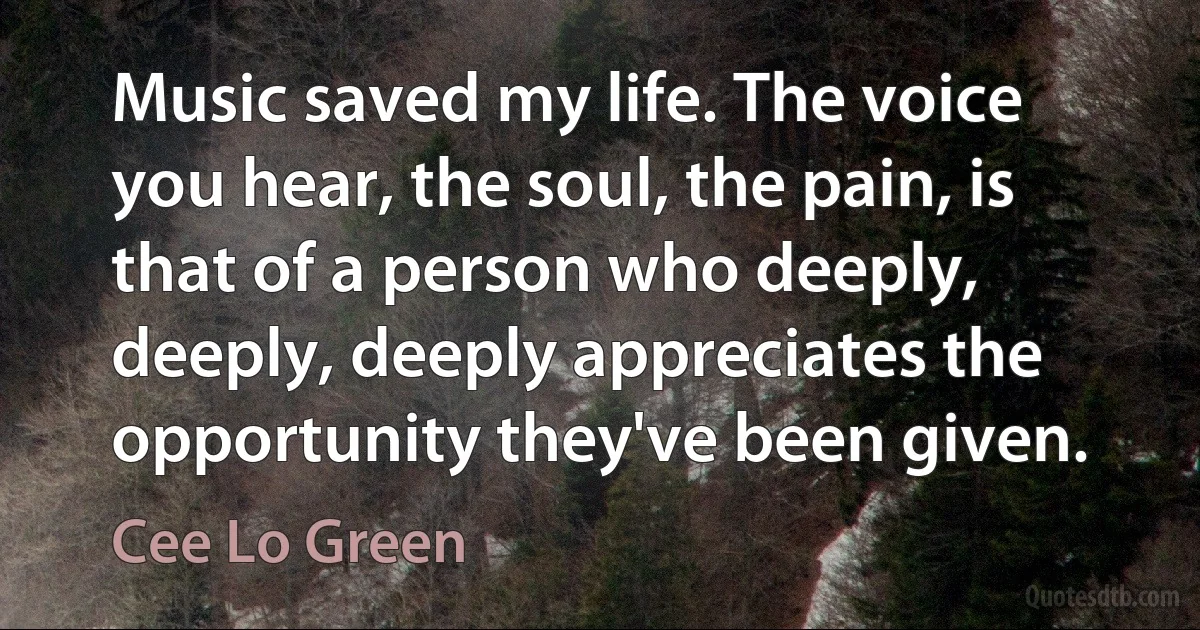 Music saved my life. The voice you hear, the soul, the pain, is that of a person who deeply, deeply, deeply appreciates the opportunity they've been given. (Cee Lo Green)