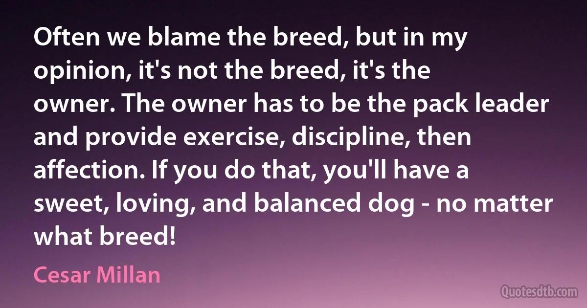 Often we blame the breed, but in my opinion, it's not the breed, it's the owner. The owner has to be the pack leader and provide exercise, discipline, then affection. If you do that, you'll have a sweet, loving, and balanced dog - no matter what breed! (Cesar Millan)