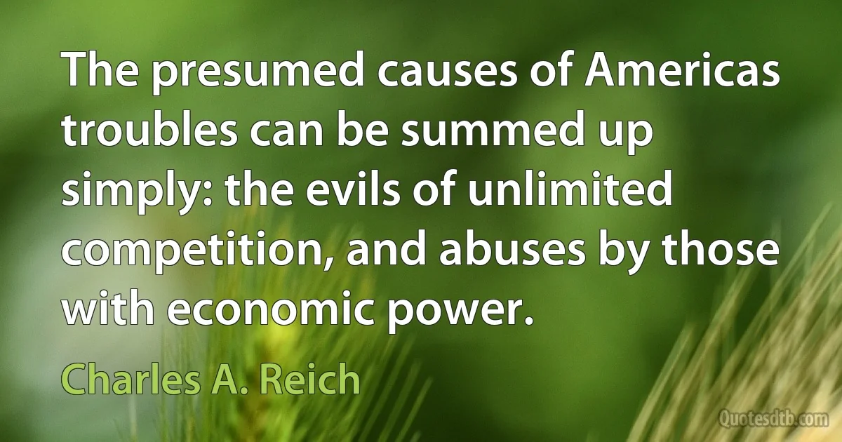 The presumed causes of Americas troubles can be summed up simply: the evils of unlimited competition, and abuses by those with economic power. (Charles A. Reich)