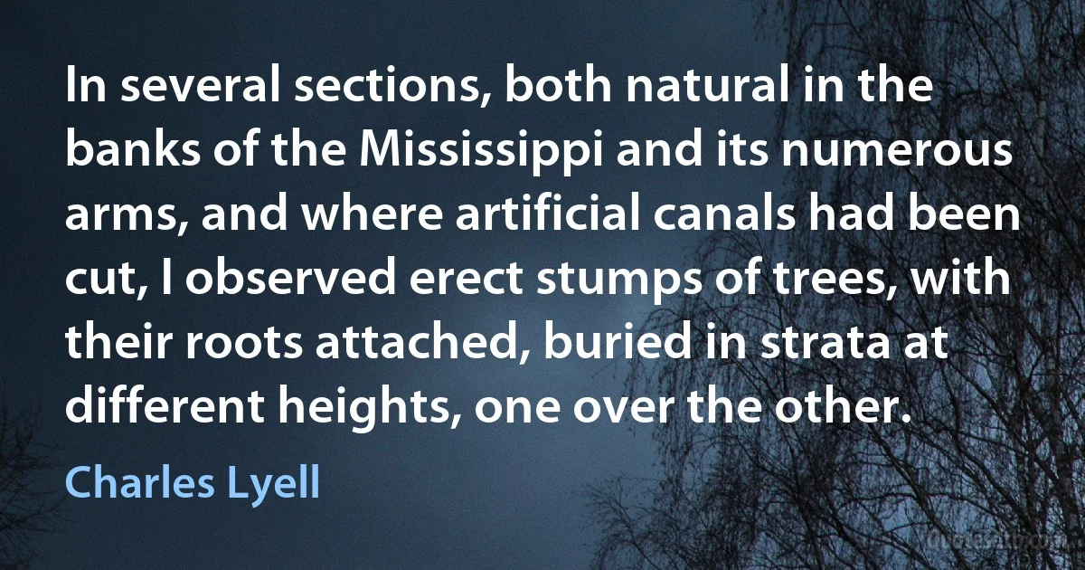 In several sections, both natural in the banks of the Mississippi and its numerous arms, and where artificial canals had been cut, I observed erect stumps of trees, with their roots attached, buried in strata at different heights, one over the other. (Charles Lyell)