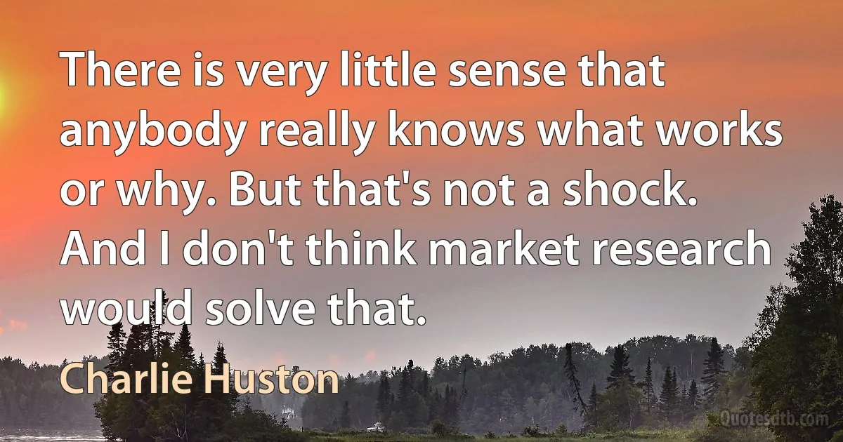 There is very little sense that anybody really knows what works or why. But that's not a shock. And I don't think market research would solve that. (Charlie Huston)