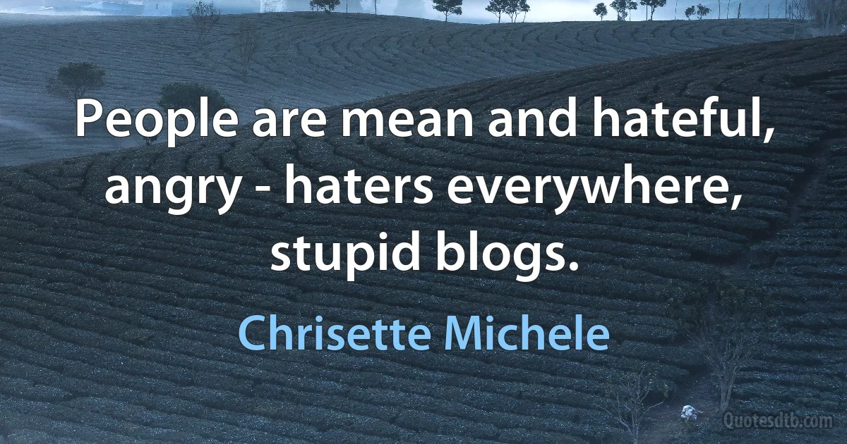 People are mean and hateful, angry - haters everywhere, stupid blogs. (Chrisette Michele)