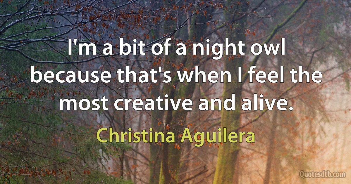 I'm a bit of a night owl because that's when I feel the most creative and alive. (Christina Aguilera)