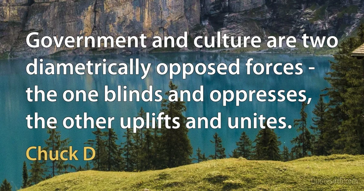 Government and culture are two diametrically opposed forces - the one blinds and oppresses, the other uplifts and unites. (Chuck D)