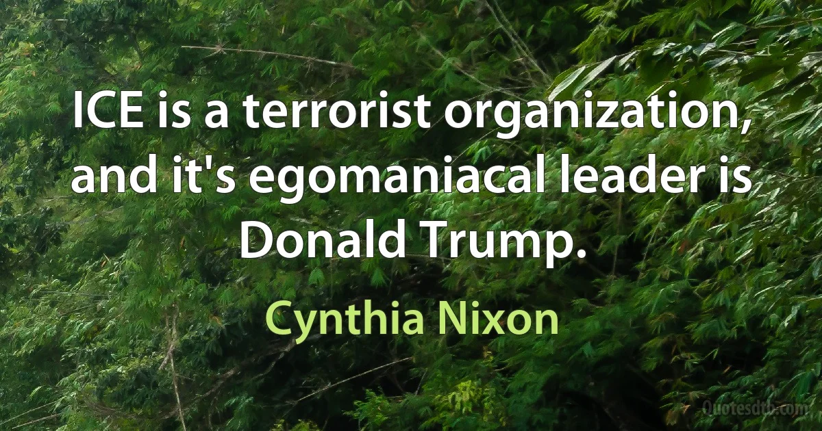 ICE is a terrorist organization, and it's egomaniacal leader is Donald Trump. (Cynthia Nixon)