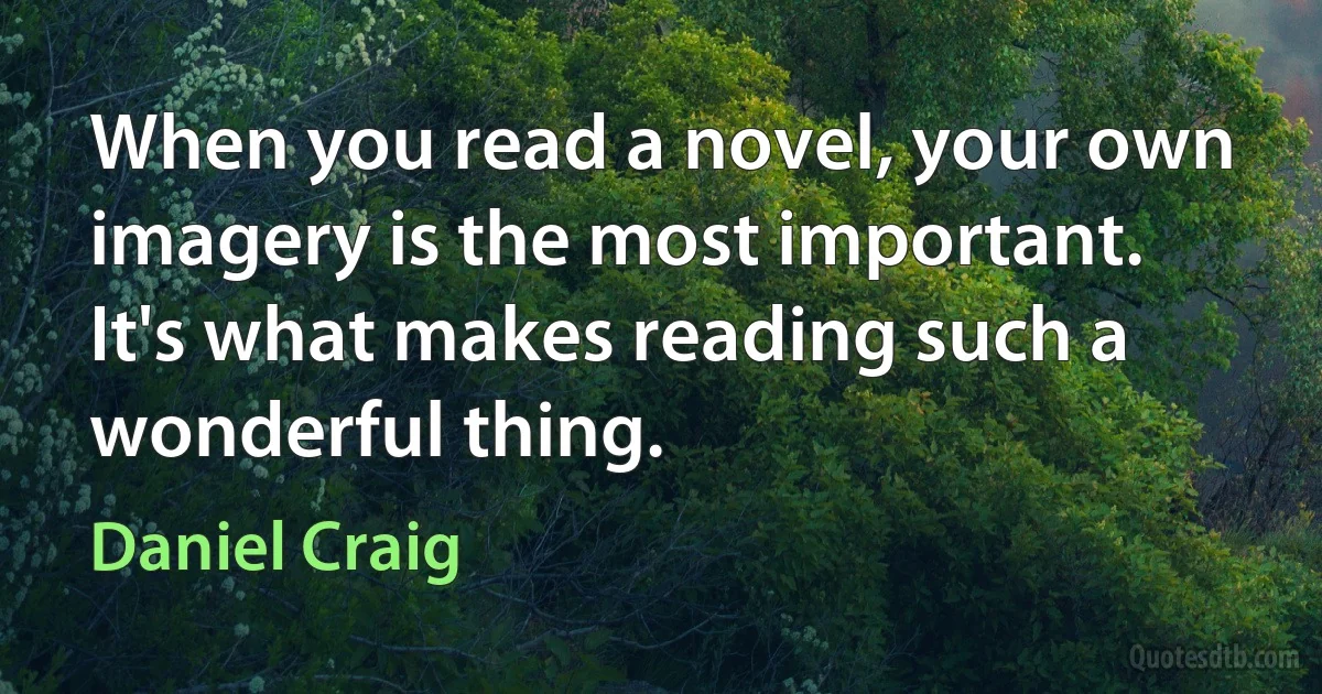 When you read a novel, your own imagery is the most important. It's what makes reading such a wonderful thing. (Daniel Craig)