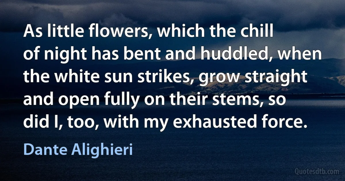 As little flowers, which the chill of night has bent and huddled, when the white sun strikes, grow straight and open fully on their stems, so did I, too, with my exhausted force. (Dante Alighieri)