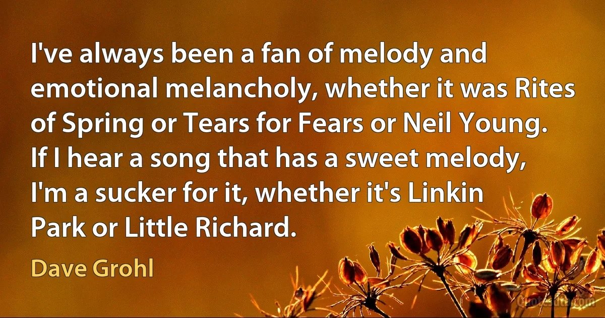 I've always been a fan of melody and emotional melancholy, whether it was Rites of Spring or Tears for Fears or Neil Young. If I hear a song that has a sweet melody, I'm a sucker for it, whether it's Linkin Park or Little Richard. (Dave Grohl)