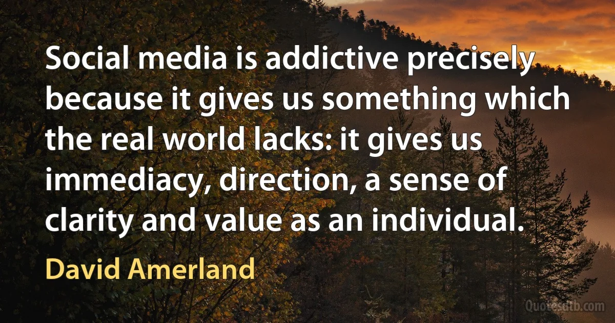 Social media is addictive precisely because it gives us something which the real world lacks: it gives us immediacy, direction, a sense of clarity and value as an individual. (David Amerland)