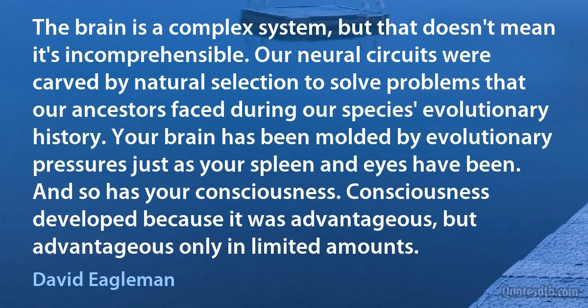 The brain is a complex system, but that doesn't mean it's incomprehensible. Our neural circuits were carved by natural selection to solve problems that our ancestors faced during our species' evolutionary history. Your brain has been molded by evolutionary pressures just as your spleen and eyes have been. And so has your consciousness. Consciousness developed because it was advantageous, but advantageous only in limited amounts. (David Eagleman)