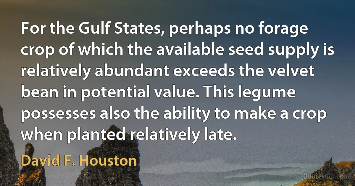 For the Gulf States, perhaps no forage crop of which the available seed supply is relatively abundant exceeds the velvet bean in potential value. This legume possesses also the ability to make a crop when planted relatively late. (David F. Houston)