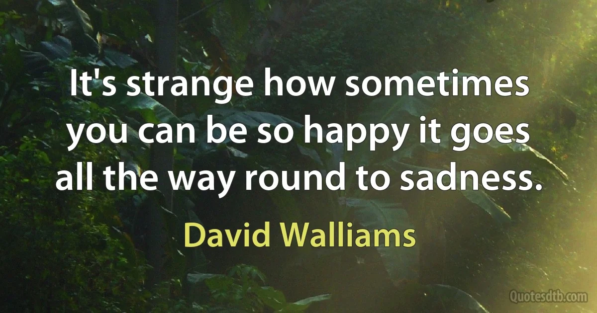 It's strange how sometimes you can be so happy it goes all the way round to sadness. (David Walliams)