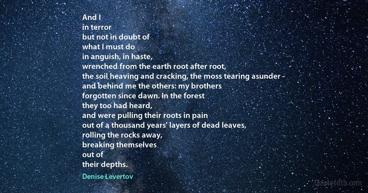 And I
in terror
but not in doubt of
what I must do
in anguish, in haste,
wrenched from the earth root after root,
the soil heaving and cracking, the moss tearing asunder -
and behind me the others: my brothers
forgotten since dawn. In the forest
they too had heard,
and were pulling their roots in pain
out of a thousand years' layers of dead leaves,
rolling the rocks away,
breaking themselves
out of
their depths. (Denise Levertov)