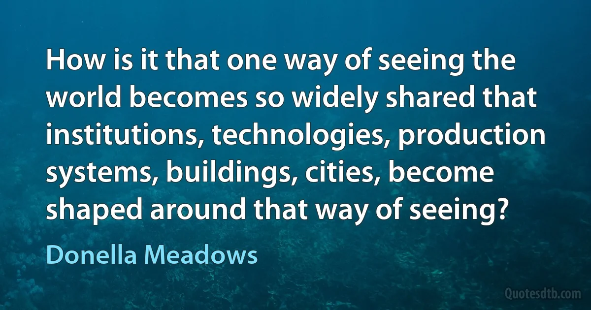 How is it that one way of seeing the world becomes so widely shared that institutions, technologies, production systems, buildings, cities, become shaped around that way of seeing? (Donella Meadows)