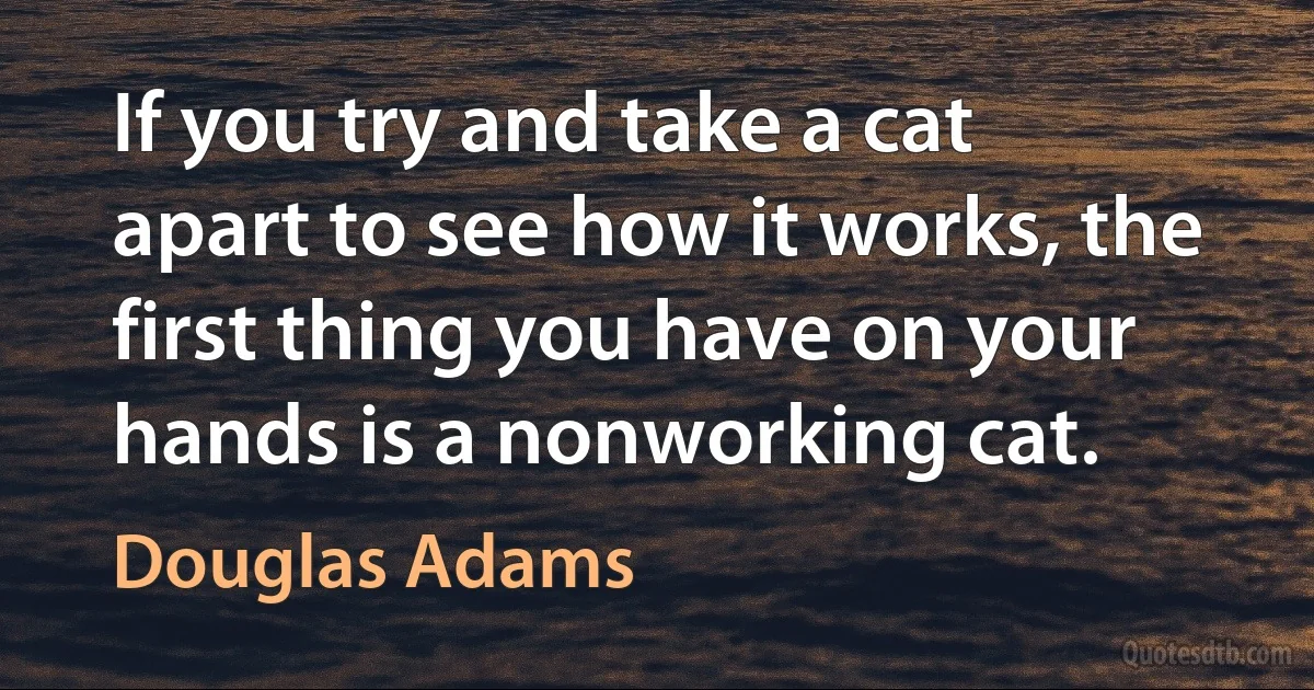 If you try and take a cat apart to see how it works, the first thing you have on your hands is a nonworking cat. (Douglas Adams)