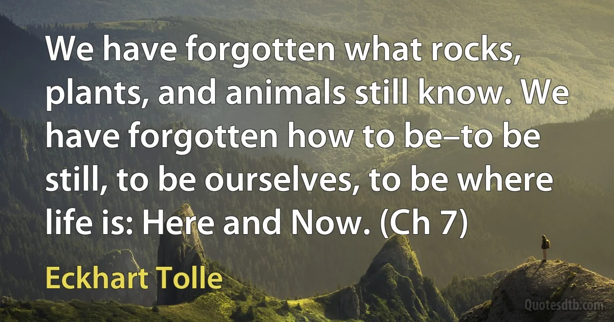 We have forgotten what rocks, plants, and animals still know. We have forgotten how to be–to be still, to be ourselves, to be where life is: Here and Now. (Ch 7) (Eckhart Tolle)