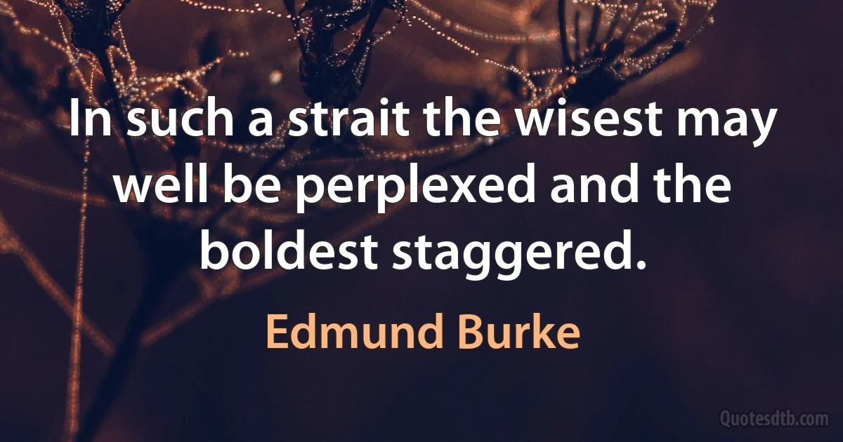 In such a strait the wisest may well be perplexed and the boldest staggered. (Edmund Burke)