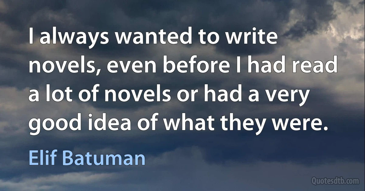 I always wanted to write novels, even before I had read a lot of novels or had a very good idea of what they were. (Elif Batuman)