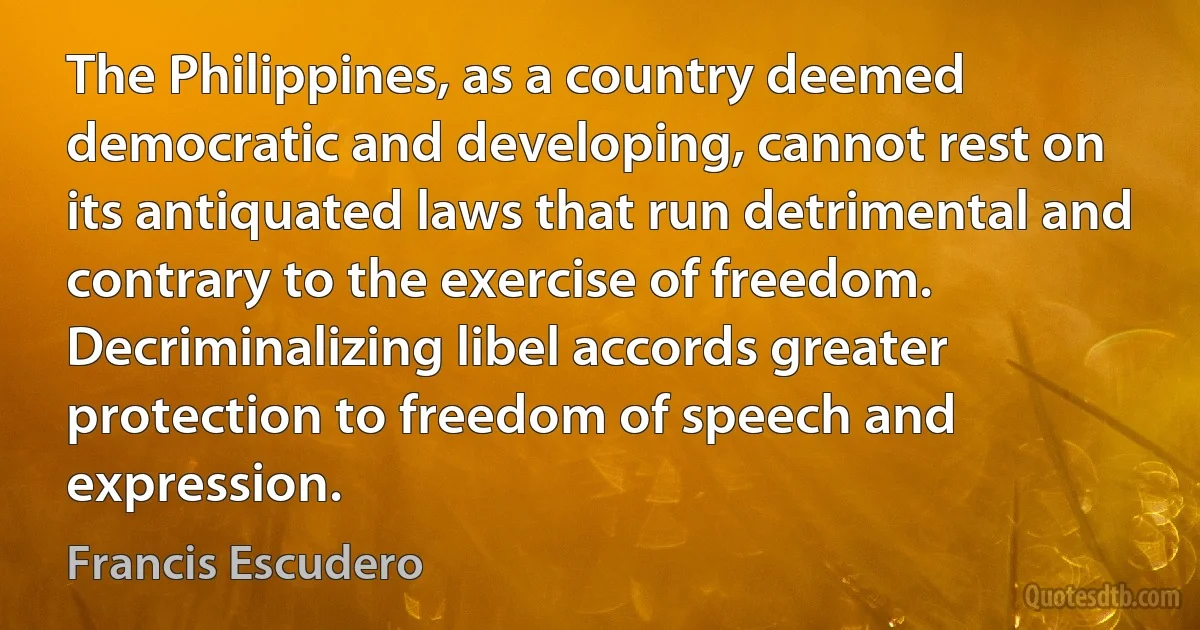 The Philippines, as a country deemed democratic and developing, cannot rest on its antiquated laws that run detrimental and contrary to the exercise of freedom. Decriminalizing libel accords greater protection to freedom of speech and expression. (Francis Escudero)