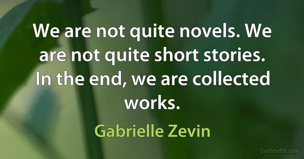 We are not quite novels. We are not quite short stories. In the end, we are collected works. (Gabrielle Zevin)