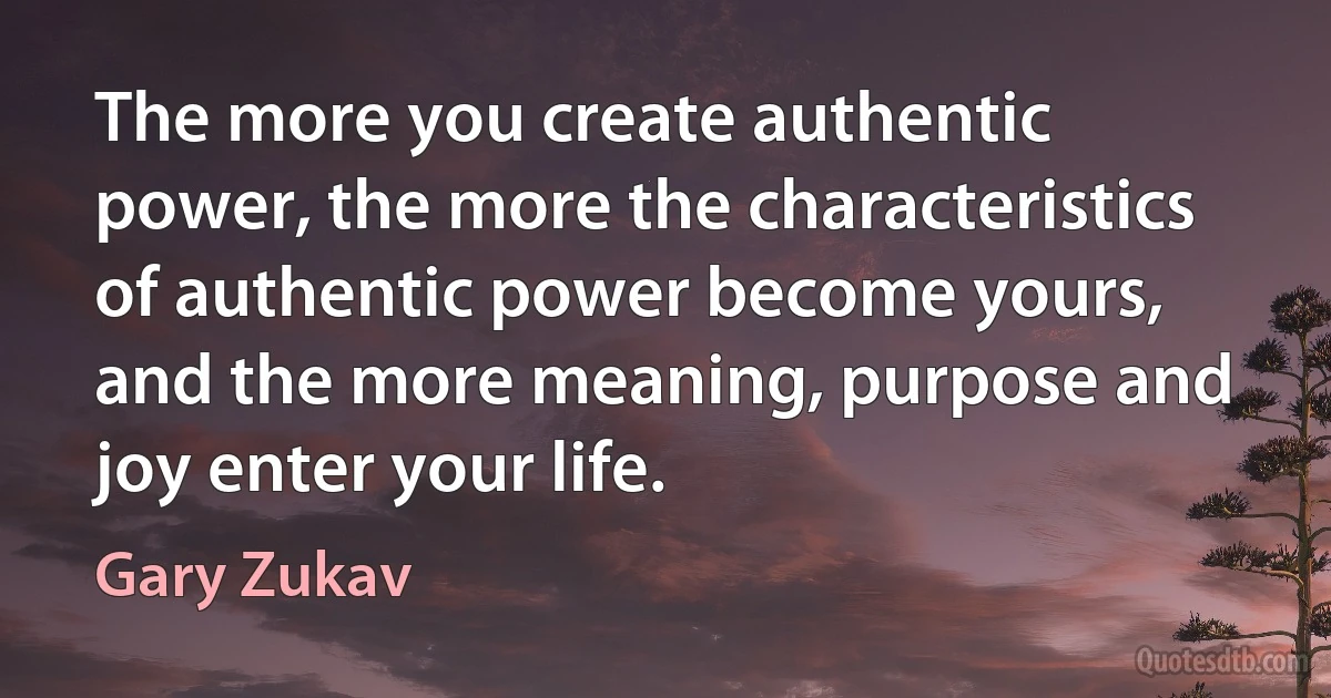 The more you create authentic power, the more the characteristics of authentic power become yours, and the more meaning, purpose and joy enter your life. (Gary Zukav)