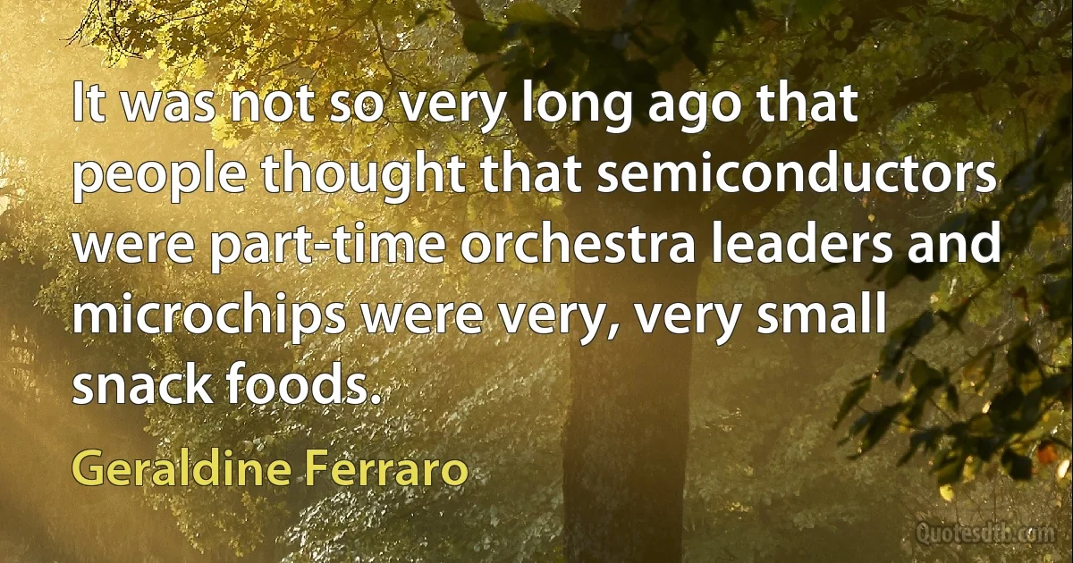 It was not so very long ago that people thought that semiconductors were part-time orchestra leaders and microchips were very, very small snack foods. (Geraldine Ferraro)