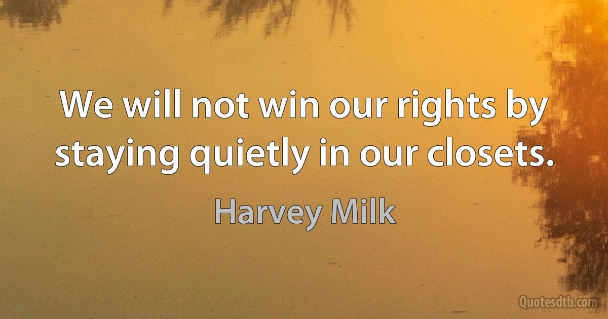 We will not win our rights by staying quietly in our closets. (Harvey Milk)